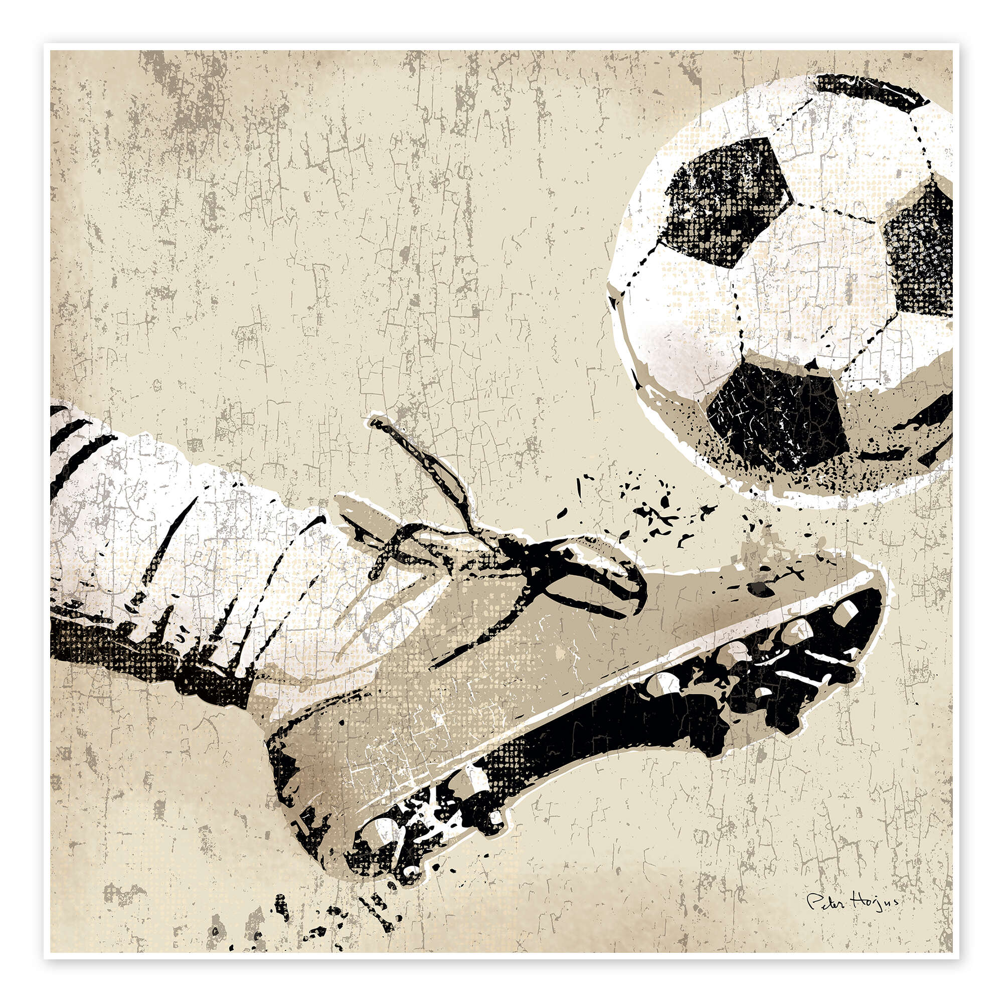 Tư vấn Sự nghiệp